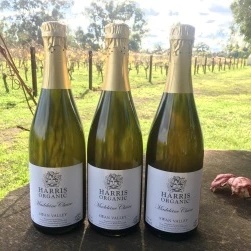 Organic Sparkling Wine 