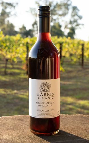 Liqueur Tokay Wine - Sweet Dessert Wine